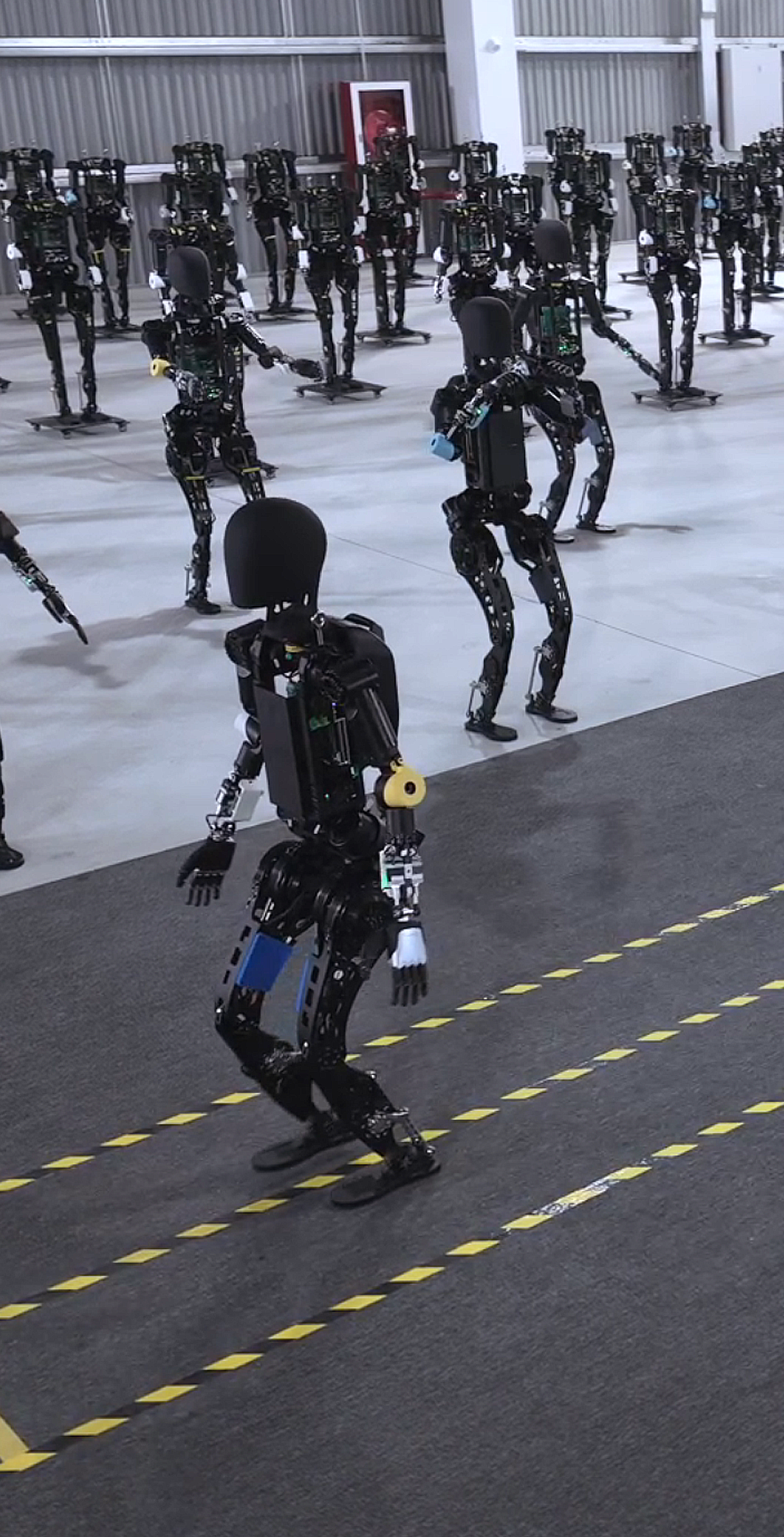 DB多宝视讯开启通用机器人商用量产